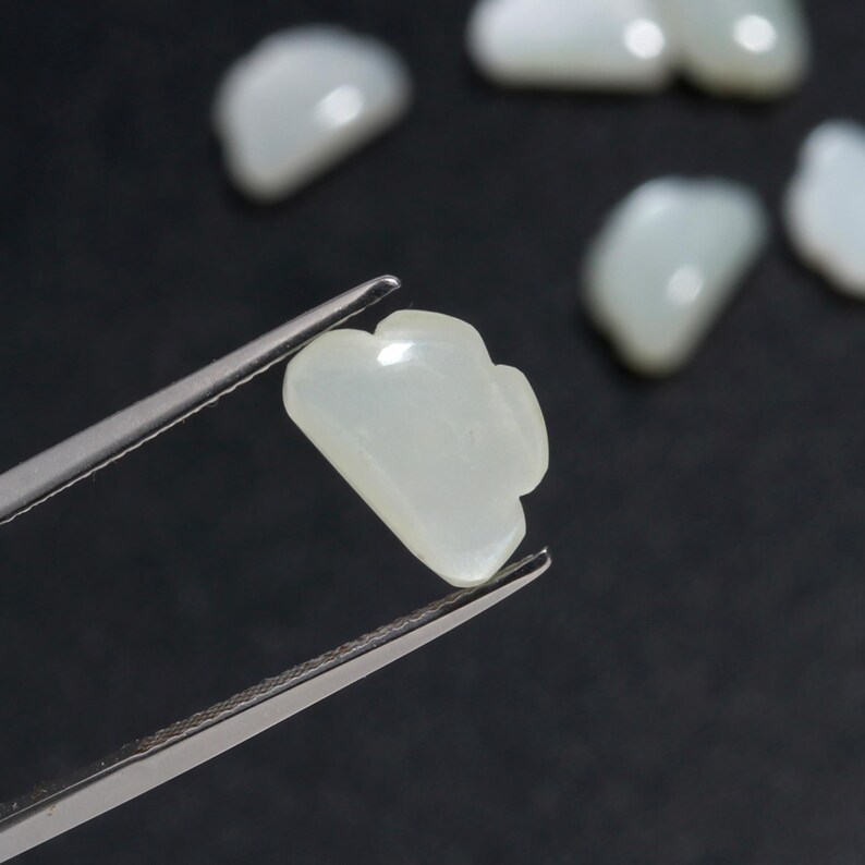 Op de afbeelding: Een witte, onregelmatig gevormde parelmoer schelp met een gegolfde rand. De schelp wordt vastgehouden door een pincet.