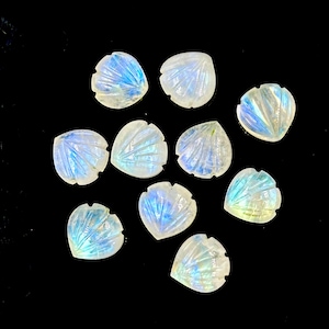 May include: Ten iridescent white moonstone cabochons carved in a shell shape. The stones are scattered on a black background.