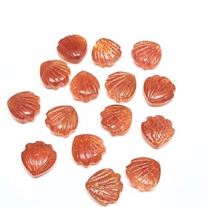 May include: A collection of orange-red gemstone seashell carvings. Each shell has detailed carved lines and a polished surface. The gemstones are scattered on a white background, showcasing their natural color and texture.