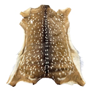 May include: A natural deer hide featuring a rich brown coat with a distinct dark brown central stripe running vertically. The fur is covered in numerous white spots across the back, transitioning to lighter cream-colored fur along the edges.
