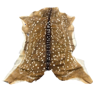 May include: A natural deer hide featuring a rich tan coat covered in white spots. A prominent dark brown stripe runs vertically down the centre of the back, while the edges of the hide transition into lighter cream and beige tones along the perimeter.