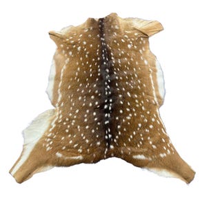 May include: A natural deer hide rug with a spotted pattern. The hide features a brown and tan color scheme with white spots. The rug has a unique shape and texture, suitable for home decor.