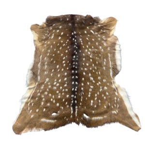 May include: A brown and white spotted deer hide with a natural shape. The hide features a dark brown central stripe and is covered in small white spots. The edges of the hide are a lighter brown color.