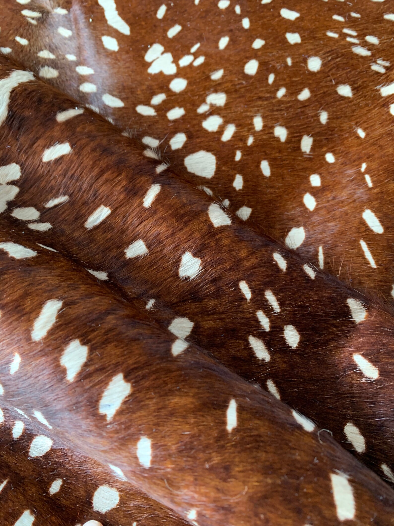 Deer Print Cowhide Rug / Axis Cowhide /Antelope Print Hide Rug Etsy