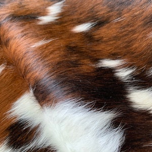 Tricolor Cowhide, Speckled Longhorn Cowhide Rug, Brown and White Hide Rug, Cowhide Carpet, Tricolor Cow Skin Rug, Tricolor Hide Rug image 5
