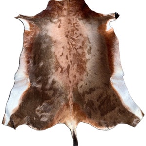 Natural Deer Hide Throw – State Street Trading Co