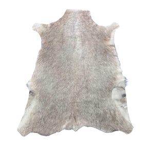 White Blesbok Skin (big patch) - Size: 44x33" # F-017