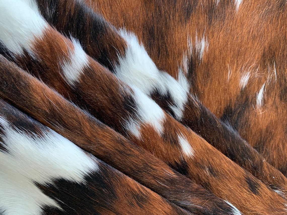 Tricolor Cowhide Speckled Longhorn Cowhide Rug Brown and Etsy