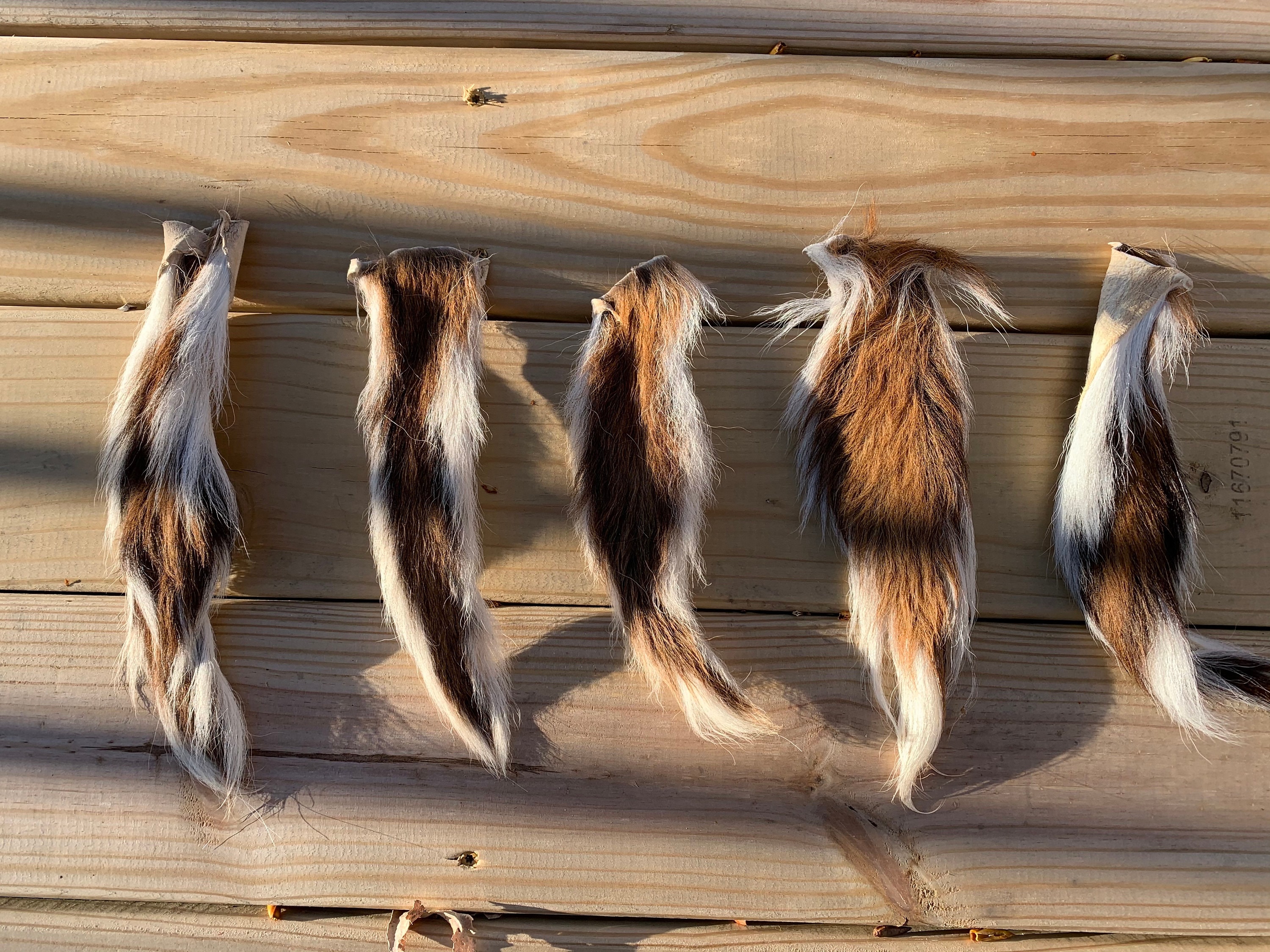 Deer tail best sale