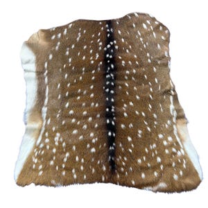 Achse Hirschhaut - Größe: 94x90 cm # axis-762