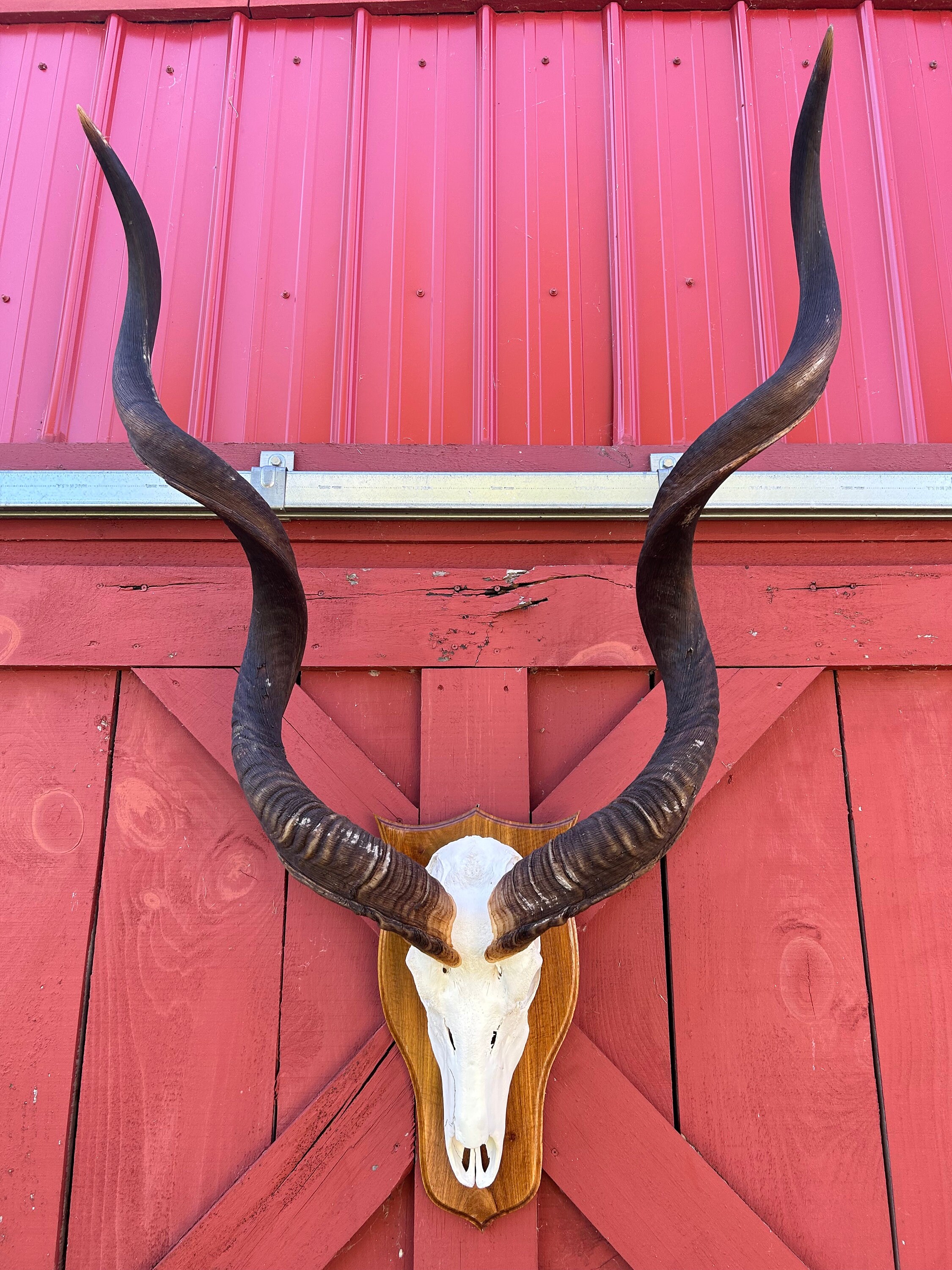 horn headpiece