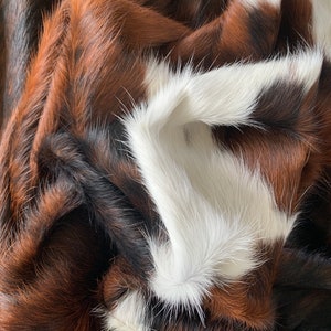 Tricolor Cowhide, Speckled Longhorn Cowhide Rug, Brown and White Hide Rug, Cowhide Carpet, Tricolor Cow Skin Rug, Tricolor Hide Rug image 6