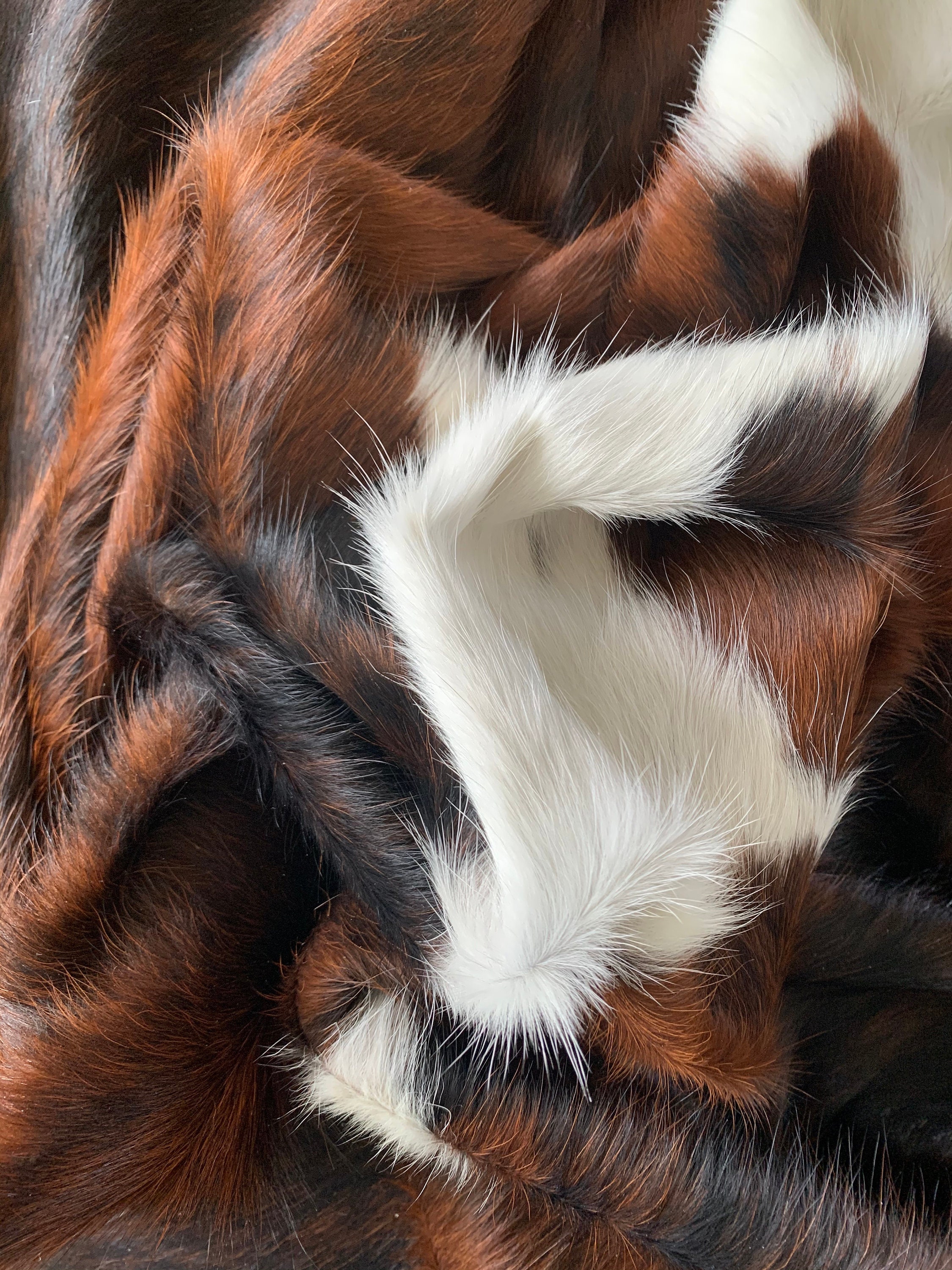 Tricolor Cowhide Speckled Longhorn Cowhide Rug Brown and Etsy