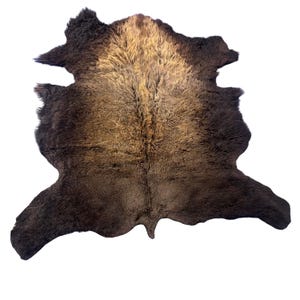 Bison Skin (NICE MANE! Super long fur around the neck - Size: 7x6.5 feet # 102