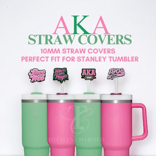 Personalized Stanley Pink and Green Tumbler Name Plate, 40oz, 30oz Stanley  - Etsy