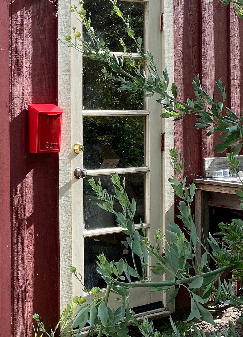 Puede incluir: Un buz&oacute;n rojo con la palabra "Barn" est&aacute; fijado a una pared de madera roja. Una puerta blanca con paneles de vidrio est&aacute; a la derecha del buz&oacute;n. Hay plantas verdes frondosas frente a la puerta.