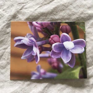 Floral Photo Note Card · Blank · Purple Green Lilac · 4.25”x5.5”
