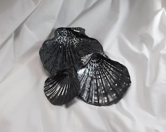 Black Scallop Shells - Set of 3