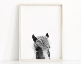 Black and white horse Print, Horse Photography Print, Large Wall Art Print, Bedroom Decor, Horse printable art, Wild horse print photo