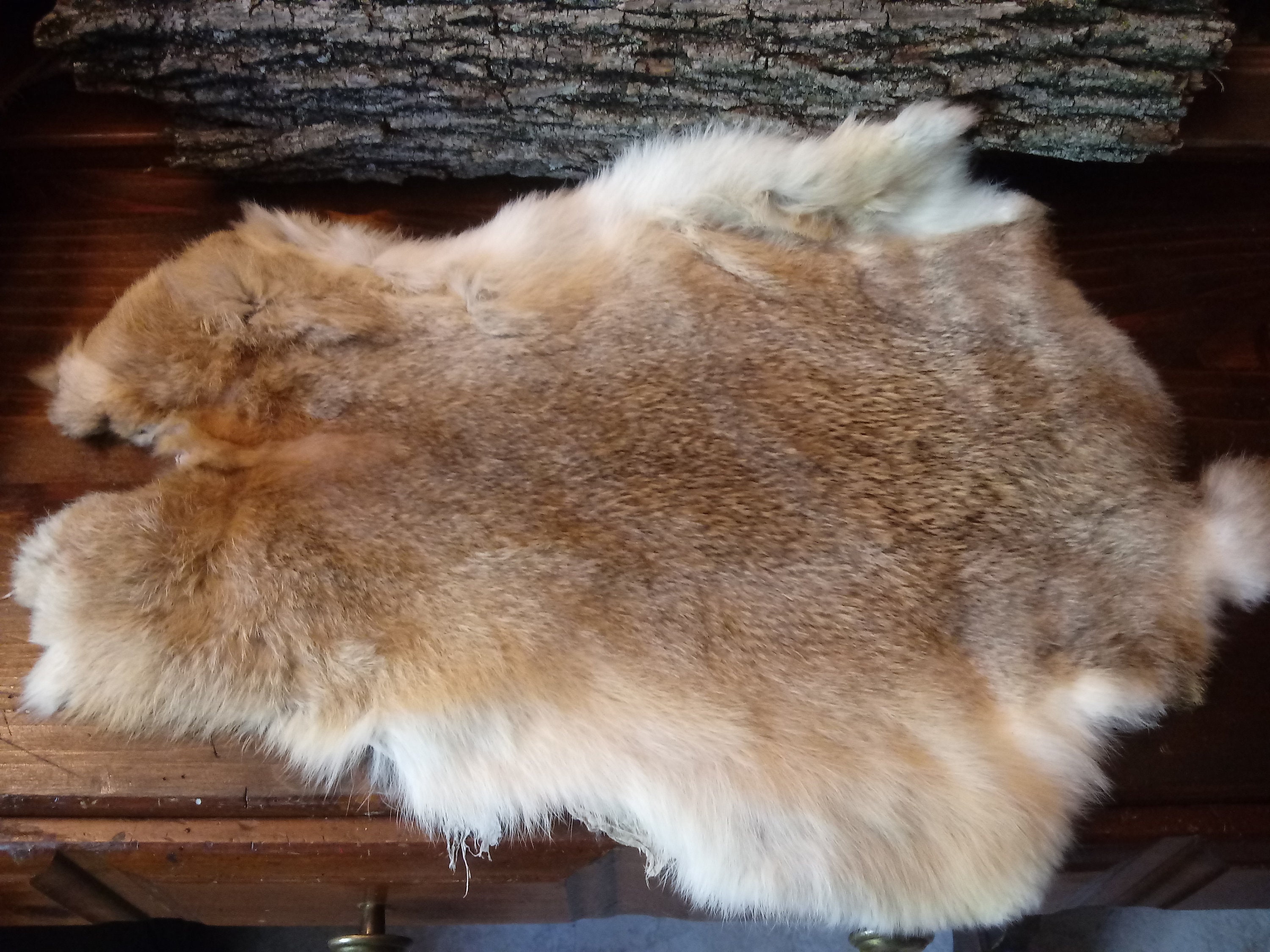 Fur Pelts for sale Only 4 left at 70
