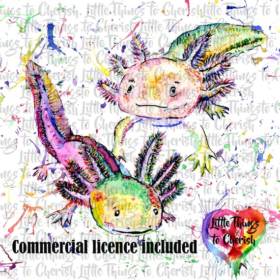 Axolotl Clipart mexican Walking Fish Graphics Rainbow | Etsy