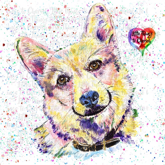 Rainbow corgi best sale