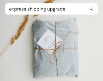 Express Shipping Upgrade