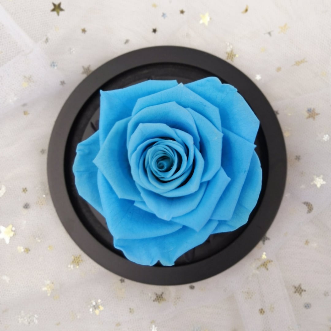 Preserved Real Dried Rose in Glass Dome and Gift Box for Valentine's