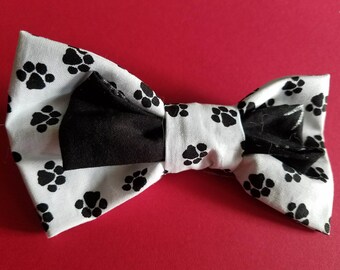 Dog Bow, Bow Tie