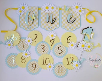 Barnyard Cake Smash Daisy High Chair Banner Picnic 1st Birthday HighChair Banner 1st Birthday Decor Farm Spring Summer