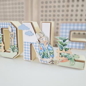 Peter Rabbit 3D Letter, First Birthday Decor, Some Bunny is One - Etsy