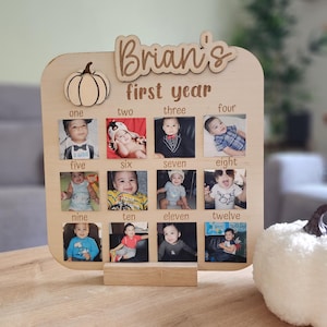 Personalized Baby First Year Photo Board:  Milestone sign, party decor, one little pumpkin