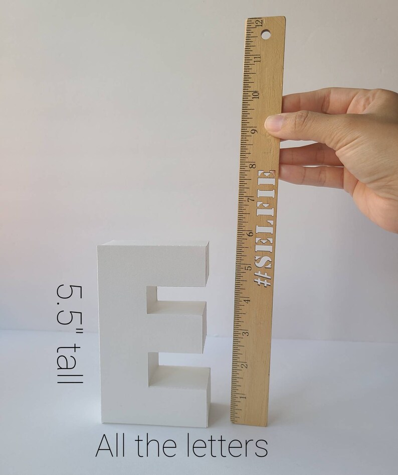 Swan 3D Letters/swan Theme/s 3D Letters/swan Decoration/swan Etsy