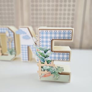 Peter Rabbit 3D Letter, First Birthday Decor, Some Bunny is One - Etsy