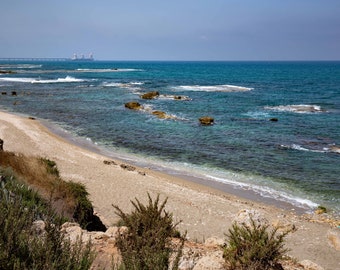 Caesarea Beach, Travel photograph, Israel, Mediterranean Sea, Holy Land, Jewish, Fine Art Wall Decor Print, Photograph, Color Picture, Palm