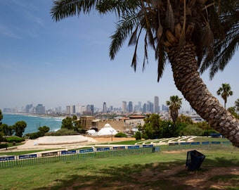 View from Jaffa, Tel Aviv City Israel, Holy Land, Mediterranean Sea, Beach Palm Tree, Vacation Travel Photograph, Fine Art Wall Decor Print