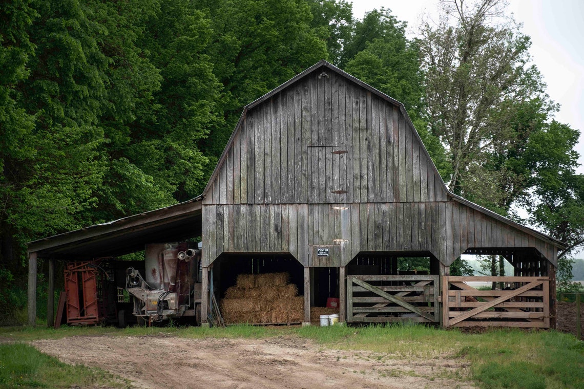 Old Barn Rustic Cattle Farm Heartland Country America Horse Ranch Color