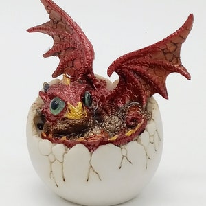 Red Copper Colored Baby Dragon Curled up Hatching from an Egg. Collectible Figurine