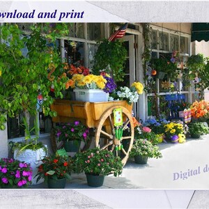 Druckbare Grußkarte, Blumenwagen, Blumenladen, Geburtstagskarte Digital, Sofort Download, Blumen, Hellocard, Fotografie, Wandkunst, Dekor