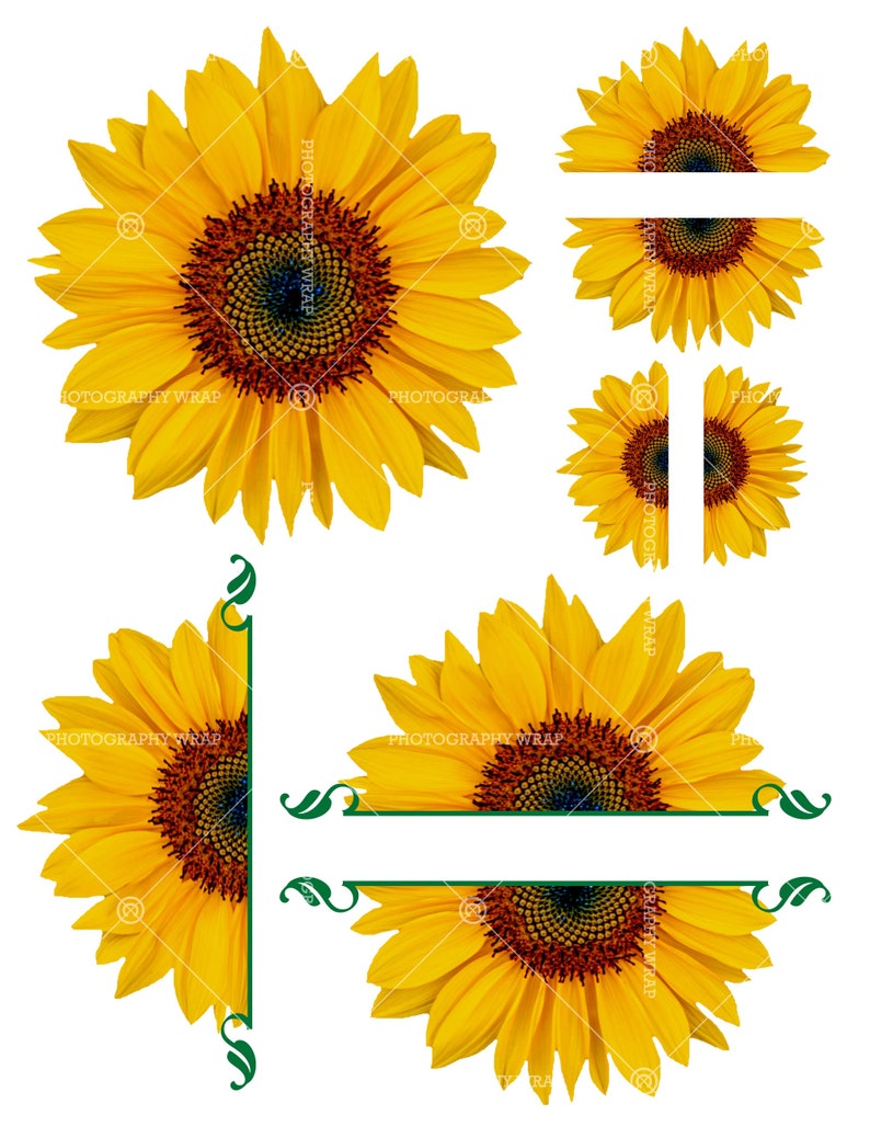 Sunflowers Sunflower Half Sunflower Waterslide Decal | Etsy (794 x 1027 Pixel)