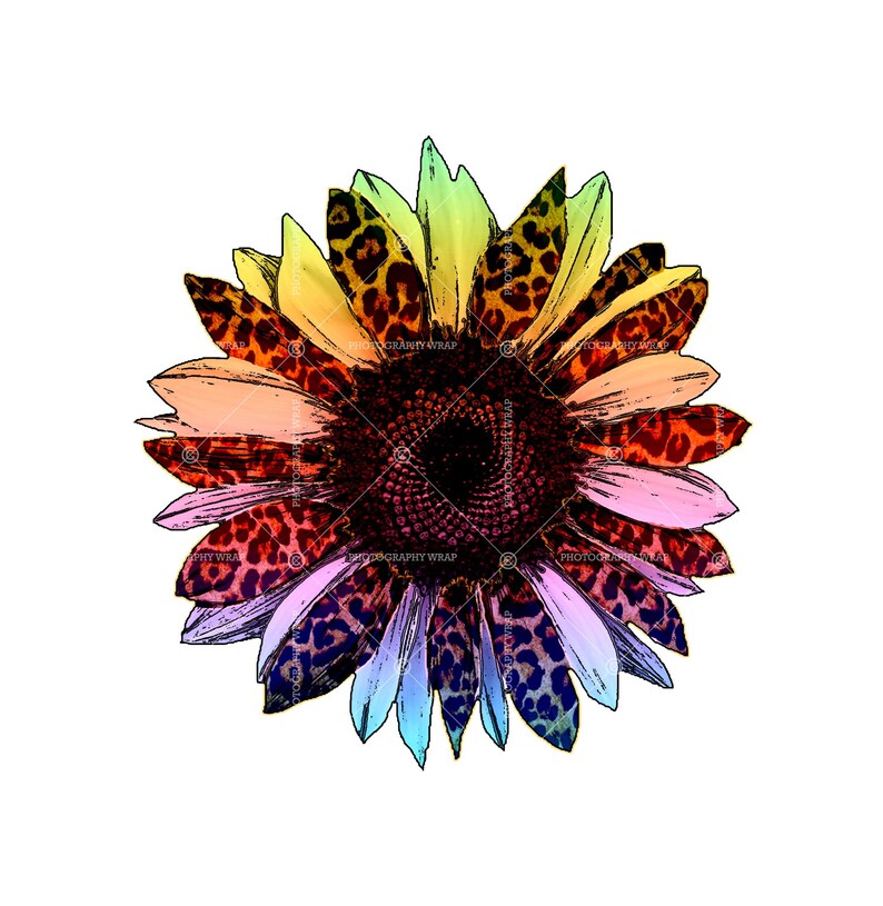 Free Free Sunflower Waterslide Svg SVG PNG EPS DXF File