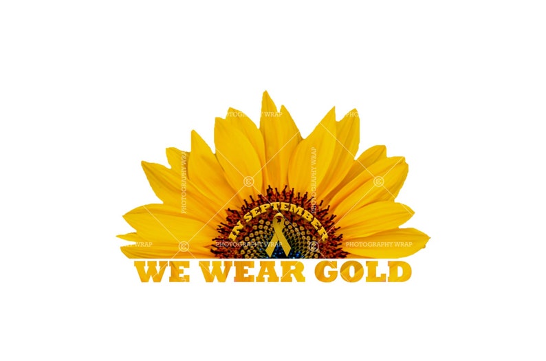 Free Free 198 Sunflower Waterslide Svg Free SVG PNG EPS DXF File