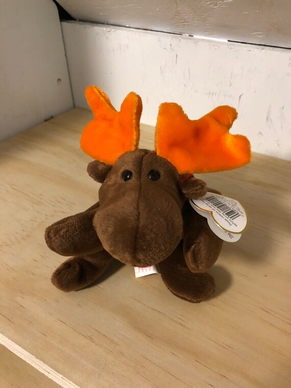 ty moose beanie baby