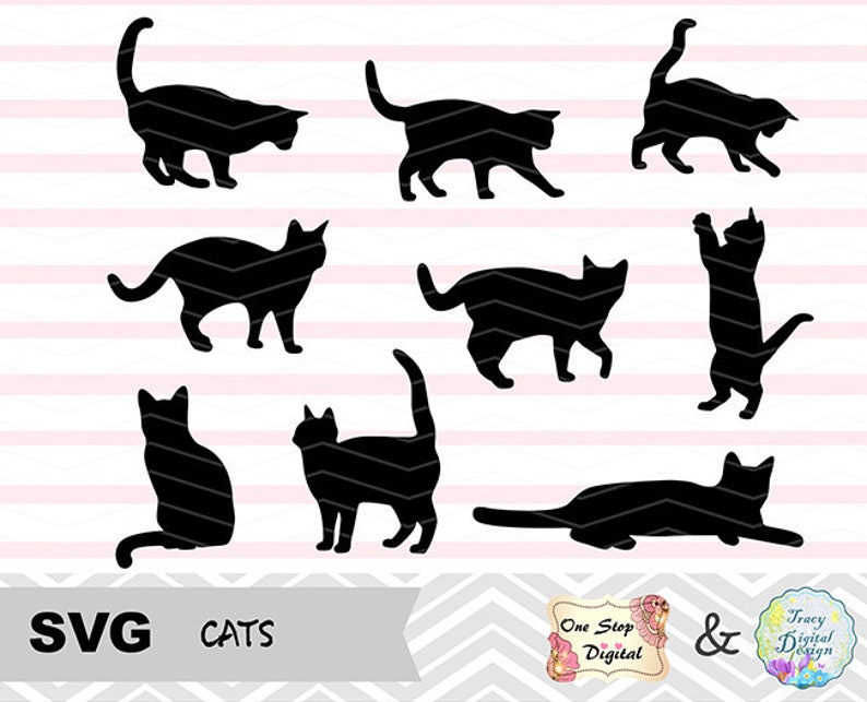 Download Ensemble de 9 fichier Svg fichier Svg chats chat ...