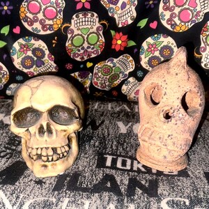 Human and Sleestack Death Whistle Skulls from a Large Collection. Tribal Scepter Topper Warrior/ God type and Human style from former bank!