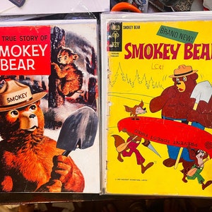 Smokey The Bear #1 Gold Key and US Forest Service The True Story of Smokey The Bear #1 Vintage 1969-70 &quot;Only You Can Prevent Forrest Fires&quot;