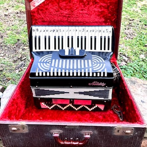 May include: A black and white accordion with the name "Nobility" on it, resting inside a brown case with a red velvet interior. The accordion has white keys and a decorative grill.
