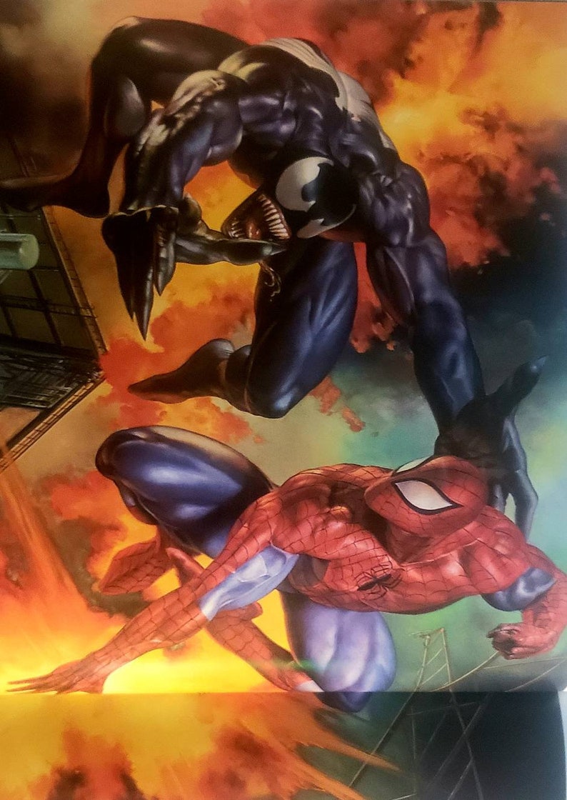 May include: A black and blue superhero with a white symbol on his chest is fighting a red and blue superhero with a spider symbol on his chest. The background is a fiery orange and yellow.