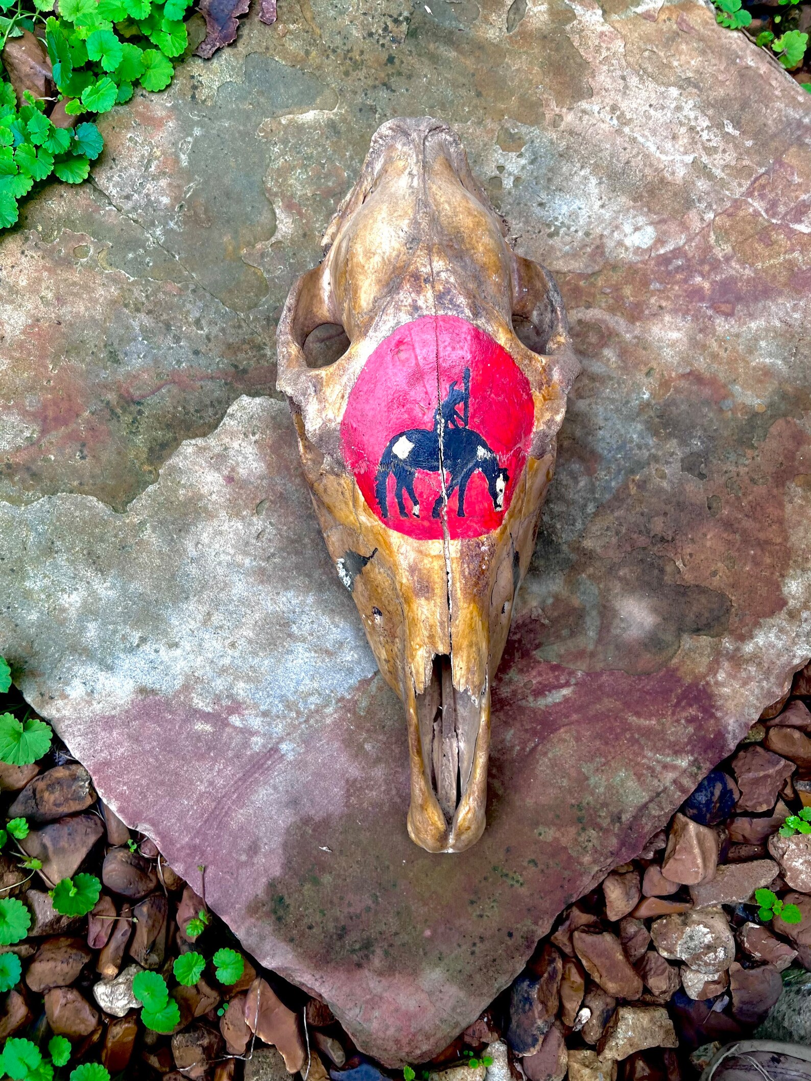 Hand Painted Skull End of the Trail. Genuine Authentic Painted Deer ...