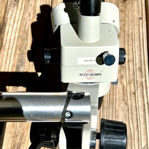Puede incluir: Un microscopio Accu-Scope con cuerpo de color crema, perillas de ajuste y oculares negros. Una etiqueta en la parte frontal muestra el texto ACCU-SCOPE y el número de serie S/N 080171. El dispositivo incluye un brazo horizontal metálico.